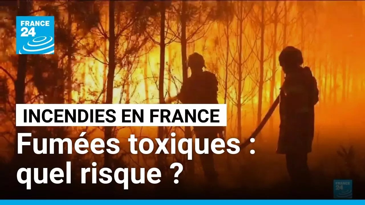 Incendies en France : les pompiers suffisamment protégés ? • FRANCE 24