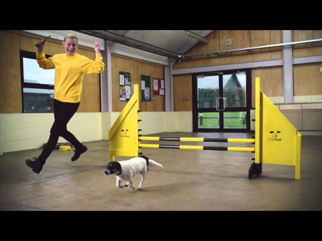 Dogs Trust: National TV Advert Feb 2014