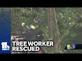 Crews rescue injured logger stuck in tree in Glen Arm