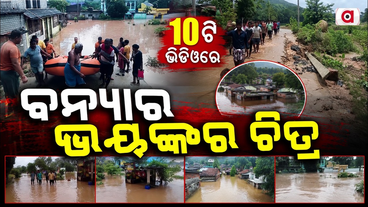 ୧୦ଟି ଭିଡିଓରେ ଭୟଙ୍କର ଚିତ୍ର... | Top 10 Videos of Odisha Flood Fury | Flood Crisis | Argus News
