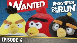 Angry Birds- Na tku - 4 - Vejce