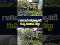 గాలివాన బీభత్సానికి కుప్పకూలిన చెట్టు #HeavyRains #Visakhapatnam #aprains #andhrapradesh #sakshitv