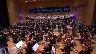Symphony in C: I. Allegro vivo