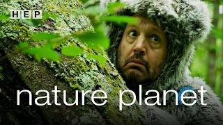 Nature Planet | Narrated by Adam Sandler