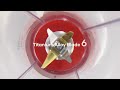 בלנדר אישי Cocinare Go Power Elite