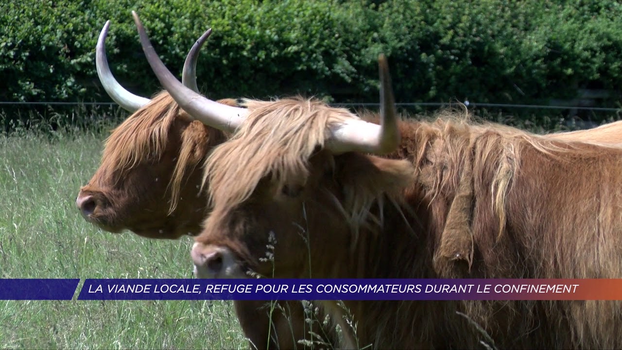 Yvelines | La viande locale, refuge pour les consommateurs durant le confinement