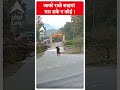 शख्स के सामने आया शेर  वीडियो  हुआ वायरल |ABP NEWS  - 00:42 min - News - Video