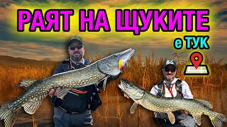 Езерото ПЪЛНО с ЩУКИ - проверих дали са още ТАМ!