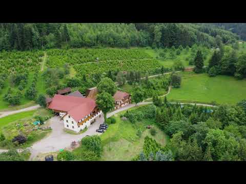 Property video