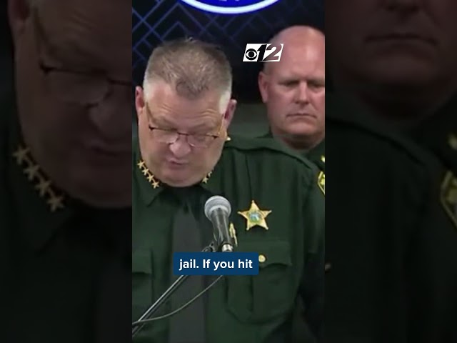 'WE'RE NOT GONNA PLAY' Florida sheriff's warning to ICE protestors about Los Angeles-style violence