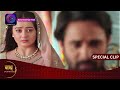 Nath Krishna Aur Gauri ki kahani  | 3 June 2024 | Special Clip | Dangal TV