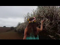 Miniatura video