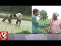 Farmers rejoice over rains; Medak, Sangareddy