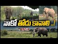 LIVE : శంకర్‏కు ఓ తోడు వెతకండి: హైకోర్టు | African elephant Shankar extremely lonely at Delhi zoo