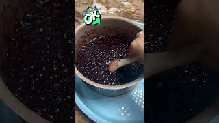 Làm sữa chua nếp cẩm tại nhà dẻo sánh #sữachua #suachuanepcam