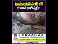 హిమాయత్ నగర్ లో కూలిన భారీ వృక్షం | Rain In Hyderabad | V6 News  - 00:38 min - News - Video