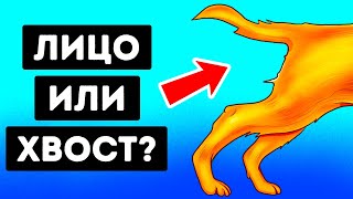 20+ оптических иллюзий, которые заставят вас посмотреть дважды