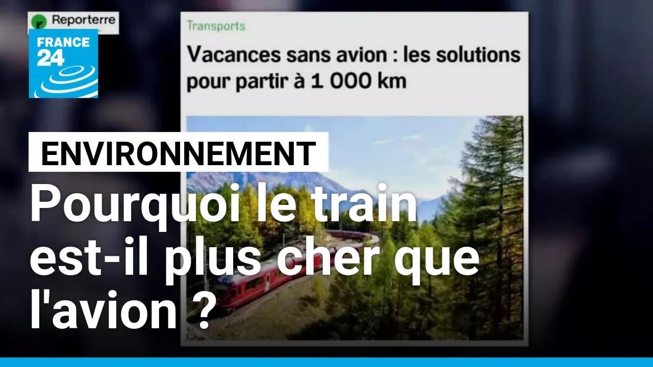Pourquoi le train est-il plus cher que l'avion ? • FRANCE 24