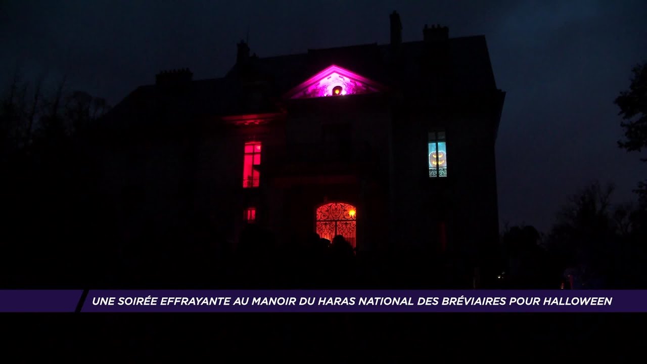 Yvelines | Une soirée effrayante au manoir du Haras National des Bréviaires pour Halloween