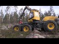 Log Max 6000V - Feeding and sawing action