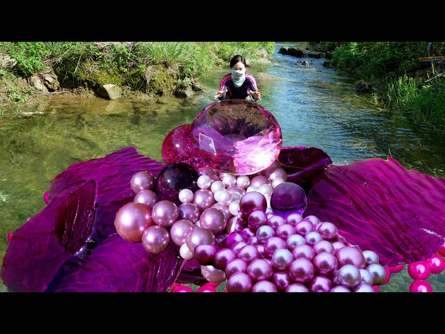 😱🎁Pry open the purple giant clam, inside it nurtures high-quality purple pearls, extremely charming