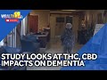 Study observes THC, CBD effects on dementia