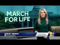 March for Life protests Freedom in Reproduction amendment(WBAL) - 02:09 min - News - Video