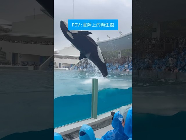 怎麼跟想像中的海生館都不一樣😨
