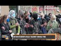 Dutch Police Break Up Pro-Palestinian Student Protest | News9  - 00:50 min - News - Video