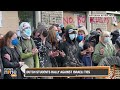 Dutch Police Break Up Pro-Palestinian Student Protest | News9
