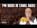PM Modi Shreds Opposition At Mega Tamil Nadu Road Show