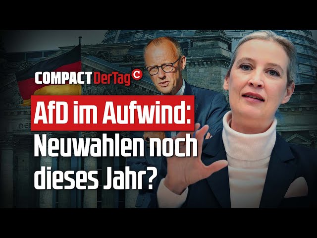 AfD im Aufwind: Neuwahlen noch dieses Jahr?💥