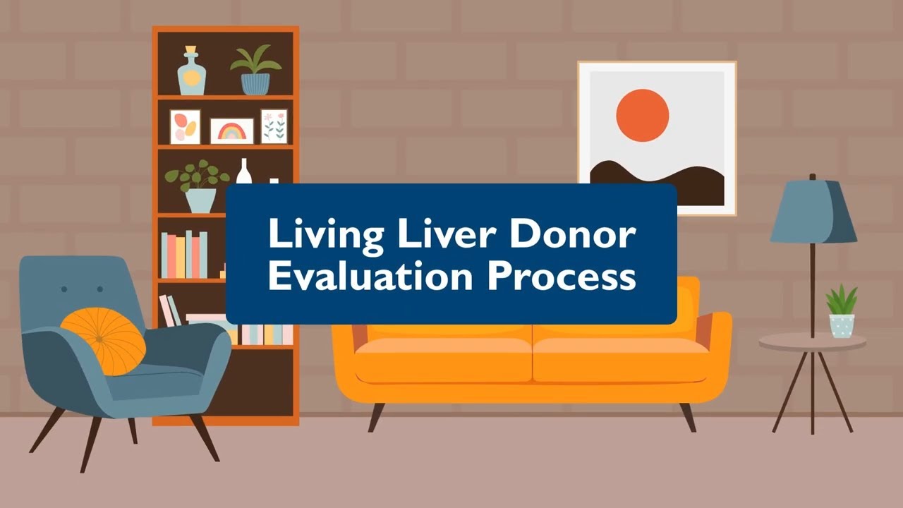 Living Liver Donor Evaluation Proces