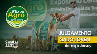 Expoagro Cotricampo 2025 - Julgamento do Gado Jovem da Raça Jersey