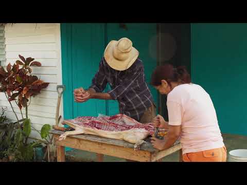Cuban Food Stories'