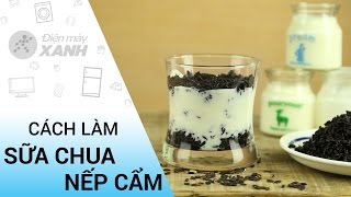 Cách làm sữa chua nếp cẩm đơn giản tại nhà | Điện máy XANH