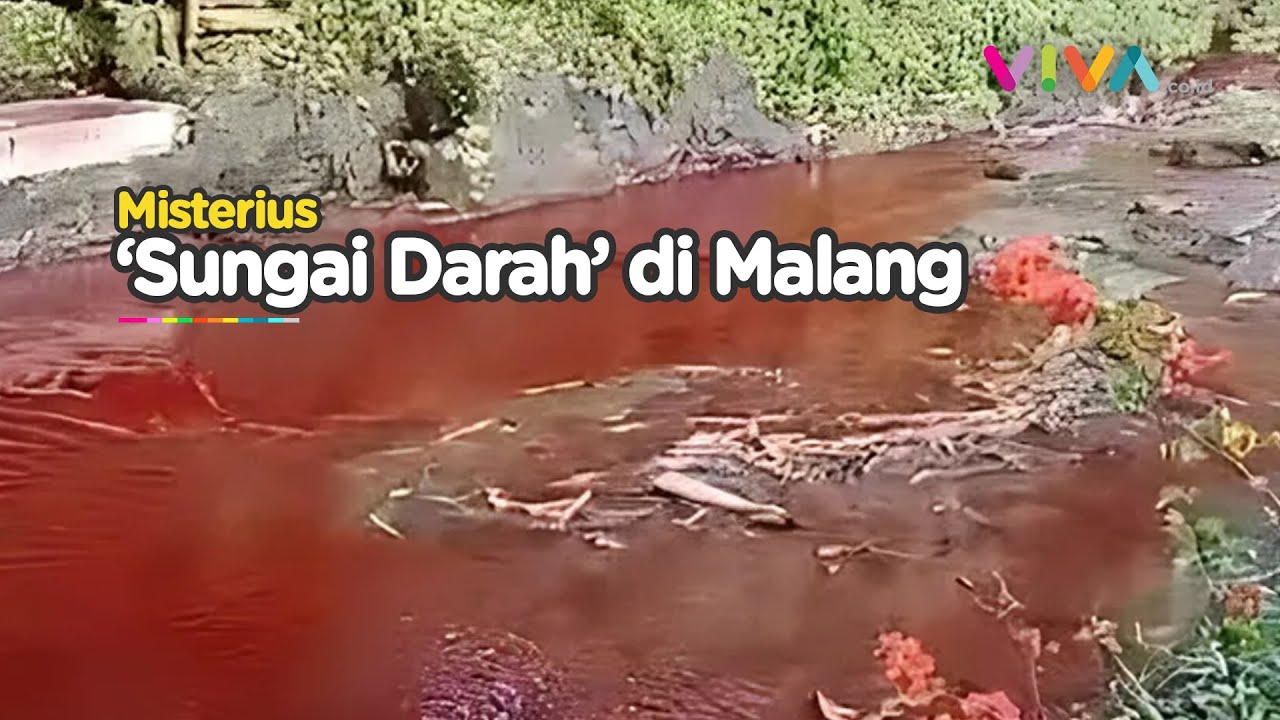 Jelang Malam 1 Suro, Air Sungai di Malang Bak Darah Segar