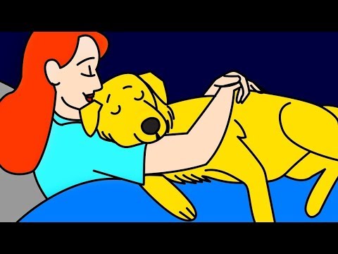 여러분의 반려견이 “사랑해요!”라고 말하는 11가지 방법