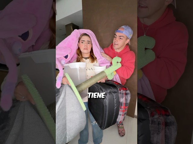 Quiero más a mis GATOS que a mi NOVIA?? 🥲💔🤯🐈