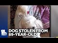 89-year-old womans dog stolen, man caught on camera