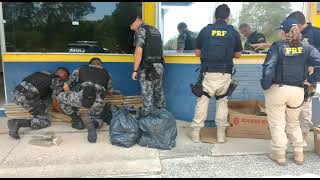 PRF e BM prendem trio de traficantes e apreendem arma e grande quantidade de maconha, em Pelotas