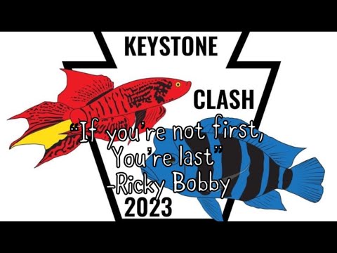 Keystone clash 2023 first stream in the lounge! Let’s see who is awake and wants to crash the stream!!