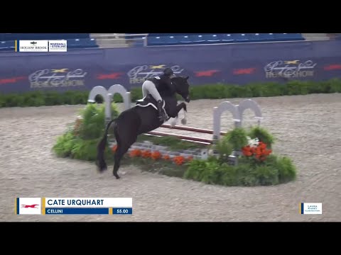 Delorean & Zoey Burton 3’3” Large Jr Handy Hunter Pennsylvania National Horse Show, Harrisburg Pa. 