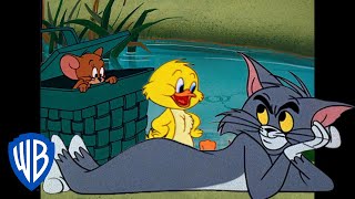 Tom a Jerry - príprava na jaro