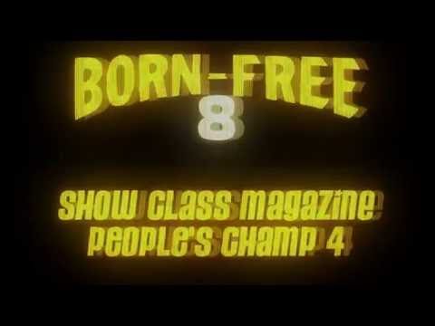 Show Class @ Born Free