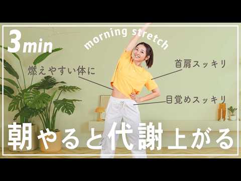 【毎朝3分】1日中脂肪を燃焼しやすい体を作る朝の体操☀️