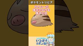 【トリビア】ウリムー、エサを探すついでにアレを発掘！？【ポケモン】 #Shorts #雑学