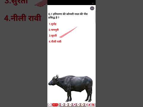🐃 “हरियाणा की वो भैंस जो पूरे भारत में मशहूर है 😲🔥 #growth #gk2025 #generalknowledge