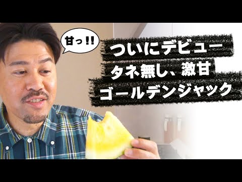 種無し、激甘、最強のスイカ「ゴールデンジャック」