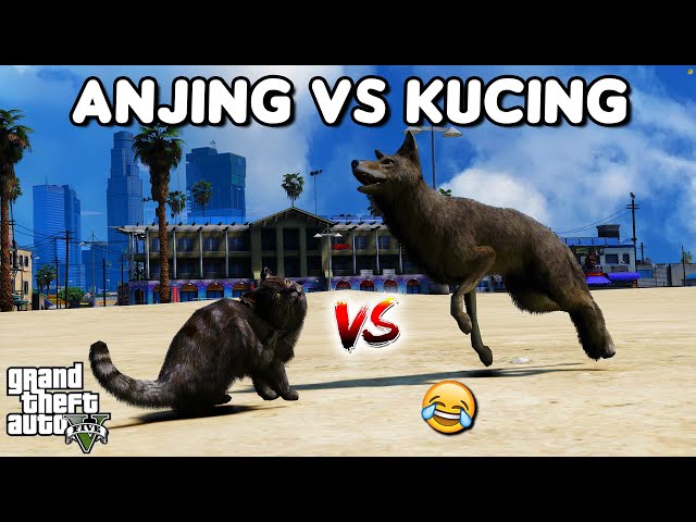 HERBIVORA VS KARNIVORA - GTA 5 ROLEPLAY